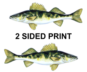 Walleye 8" Two-Sided Fish Stickers – 10 Pack
