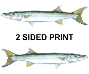Barracuda 8" Two-Sided Fish Stickers – 10 Pack