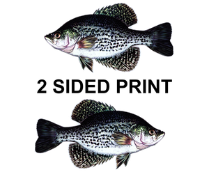 Crappie 8" Two-Sided Fish Stickers – 10 Pack