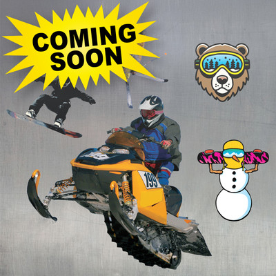 Winter Sport Stickers