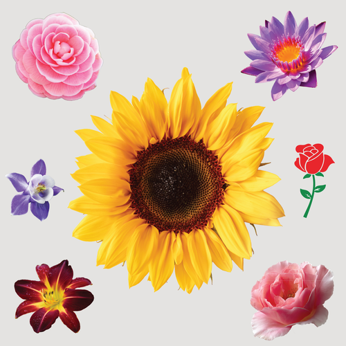 Flower Stickers