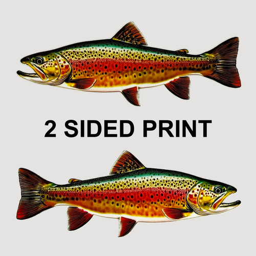 Brook Trout 8" Double-Sided Fish Decal