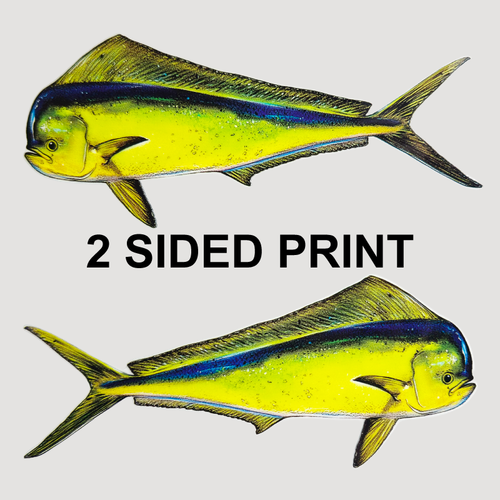 Dorado 8" Double-Sided Fish Stickers – 10 Pack