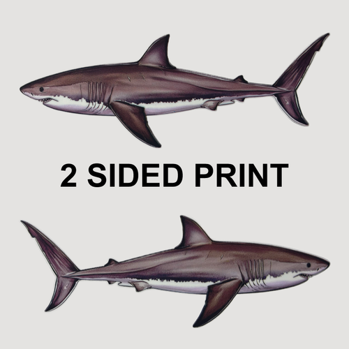 Great White Shark 8" Double-Sided Fish Stickers – 10 Pack