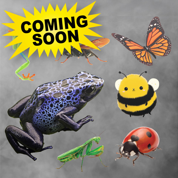 Reptiles/Insects Stickers