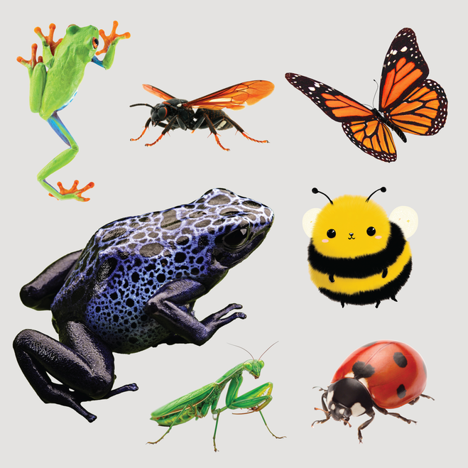 Reptile & Insect Stickers