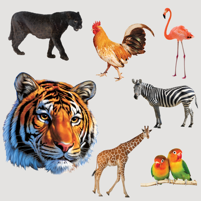 Animal Stickers