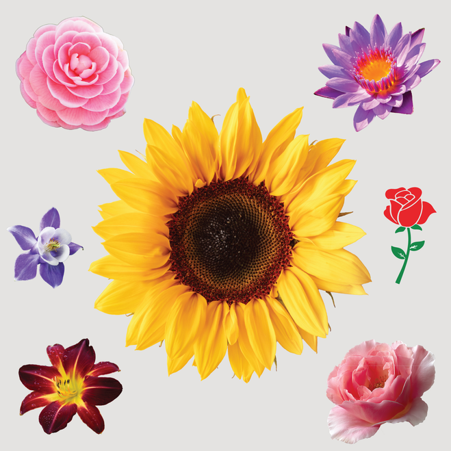 Flower Stickers
