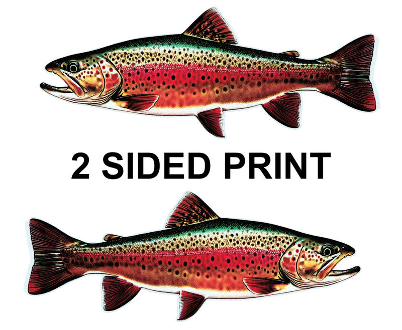 Brook Trout 8" Two-Sided Fish Stickers – 10 Pack