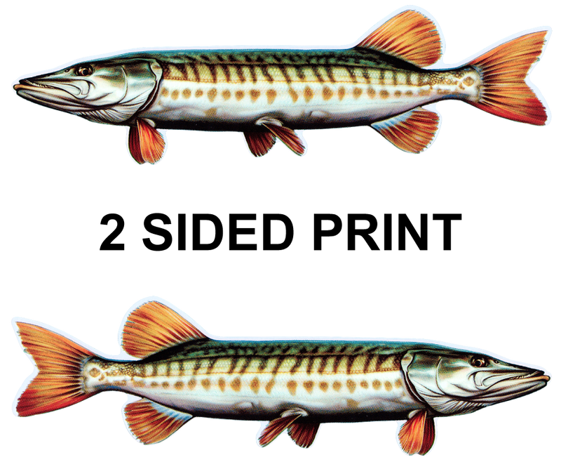 Muskie 8" Two-Sided Fish Stickers – 10 Pack