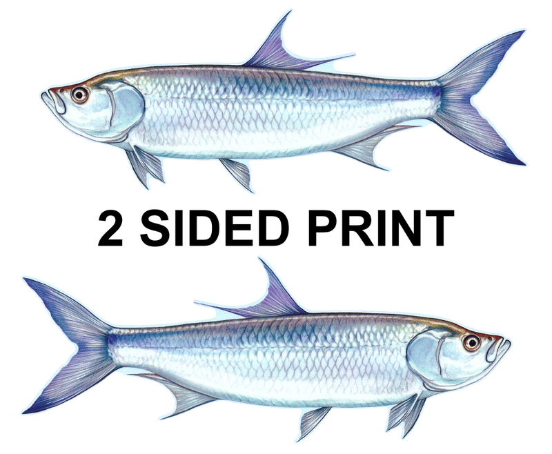 Tarpon 8" Two-Sided Fish Stickers – 10 Pack