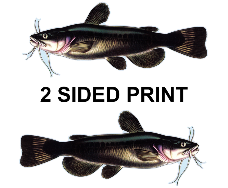 Catfish 8" Two-Sided Fish Stickers – 10 Pack