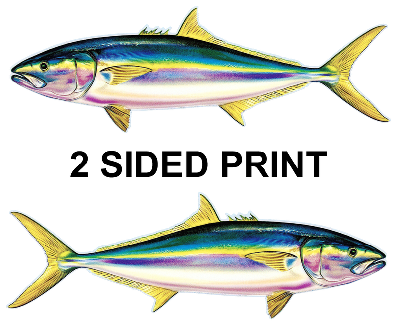 Yellowtail 8" Two-Sided Fish Stickers – 10 Pack