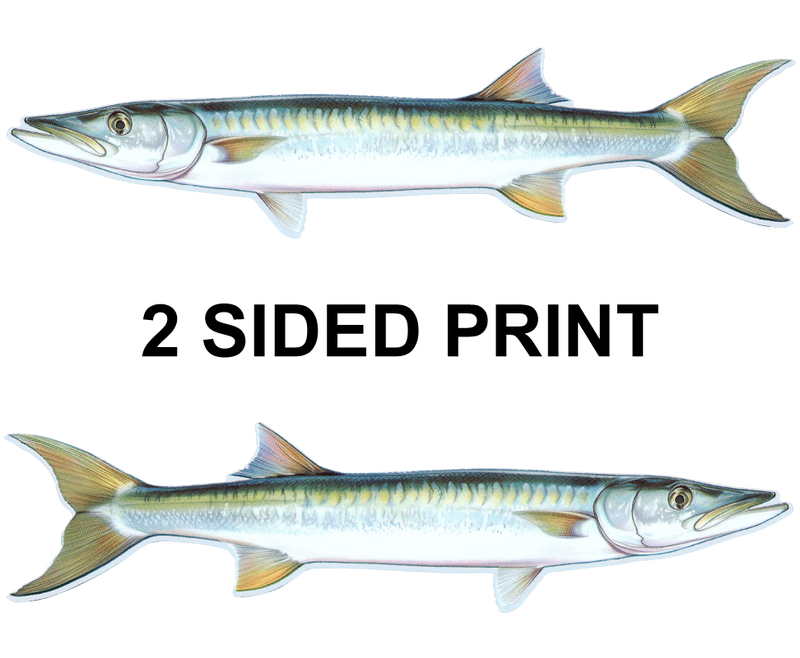 Barracuda 8" Two-Sided Fish Stickers – 10 Pack