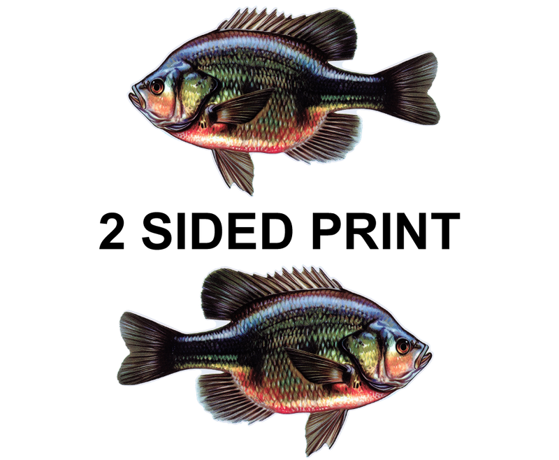 Bluegill 8" Two-Sided Fish Stickers – 10 Pack