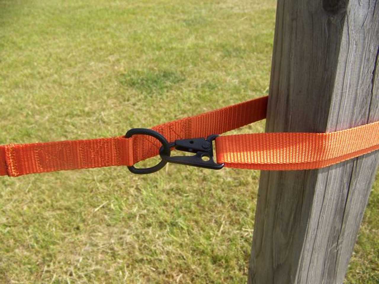 K-9 Search & Rescue Leash