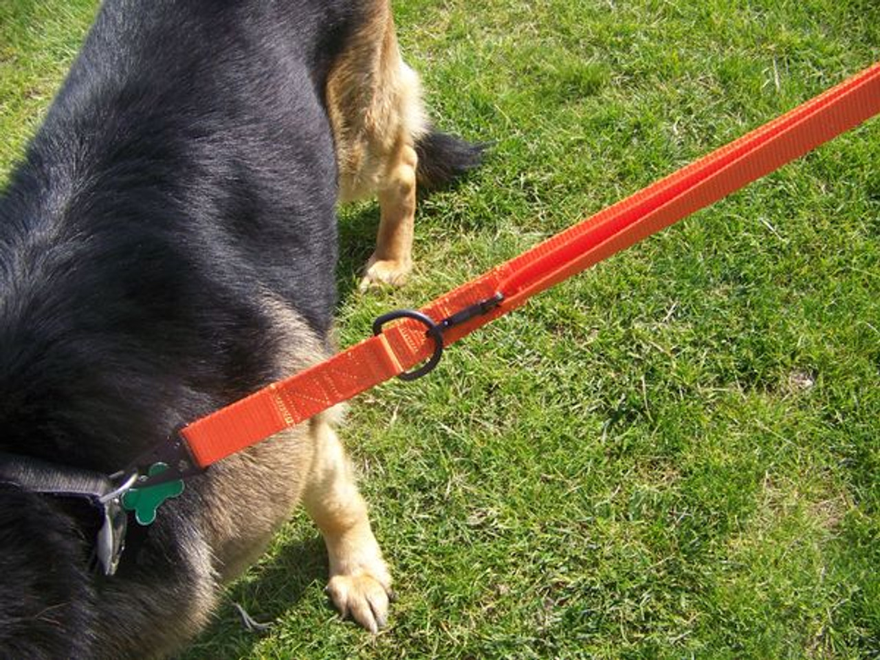 K-9 Search & Rescue Leash