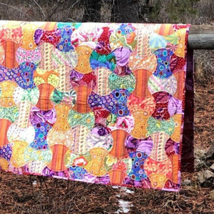 Apple Core quilt on a fence