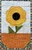 Sunflower wall hanging made with the Quiltsmart sample project pack