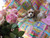 Dog on a Robe Pete quilt in spring colors
