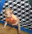 Baby with the blue tones tumbling block quilt