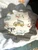 Amandas sweet mats with trucks and vans fabric