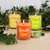 Citronella Scented Candle Collection - Set of 3 Citronella Scented Candle Collection - Set of 3