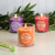 Scented Wax Candles, Fruit Stand Collection - Set of 3