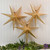 Hanging Lantern, Gold Star - Set of 3