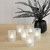 Frosted Votives with Battery Operated LED Lights, Amber - Set of 6