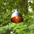 Electric Caf String Lights with 10 Bronze Metal Domes