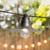 Electric Caf String Lights with 10 Gun Metal Shades Electric Caf String Lights with 10 Gun Metal Shades
