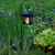 Solar Lantern with Shepherd's Hook - Black