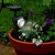 Solar Powered Black Spotlights - Set of 2