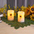 Battery Operated Wax LED Candles, Dried Flowers - Set of 2