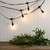 Electric Commercial Grade String Lights with 12 Edison Bulbs