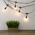 Electric Commercial Grade String Lights with 12 Edison Bulbs