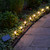 Solar Powered Pathway Lights with 8 Multicolor Globe Bulbs