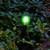 Solar Powered Pathway Lights with 8 Multicolor Globe Bulbs