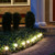 Solar Powered Pathway Lights with 8 Multicolor Globe Bulbs