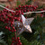 Solar Powered String Lights with 20 Silver Metal Stars