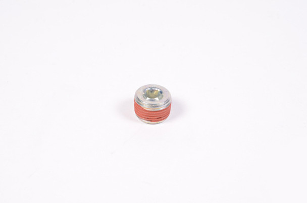 Radium Engineering 3/8in NPT Plug