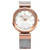CHARRIOL Forever Watch, Charriol Watches [FE32 102 005] 