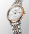 THE LONGINES ELEGANT COLLECTION [L4.310.5.77.7]