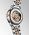 THE LONGINES ELEGANT COLLECTION [L4.310.5.77.7]