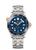 Seamaster Diver 300M co-axial Master Chronometer 42 mm [21020422003002]