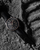 Speedmaster Dark Side of the Moon co-axial Chronometer Chronograph 44.25 mm [31163445106001]