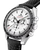 Speedmaster Moonwatch Professional [31032425004002]