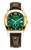 AIGNER Aigner Watch [AGW.269004], luxury wristwatch with a green textured dial, gold bezel, and brown leather strap.