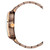 AIGNER Aigner Watch [AGW.246005], product image showing side view of a stylish watch with a brown and rose gold-tone metal band and case, featuring a crown with the AIGNER logo.